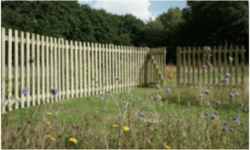 Round Top Picket Panel + Gate