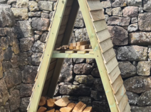 TRIANGLE LOG STORE